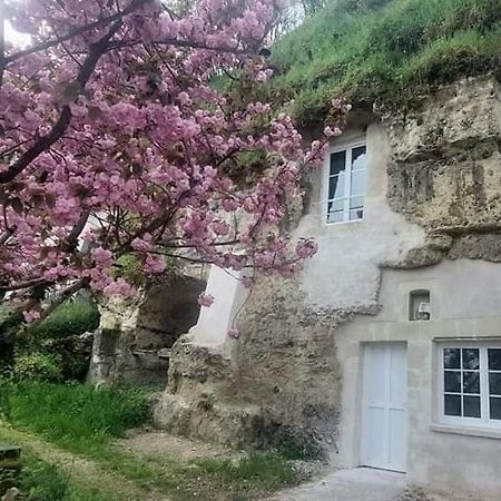 מונלואי-סור-לטאר Troglo Entre Caves Et Chateaux מראה חיצוני תמונה