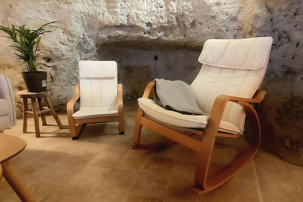 מונלואי-סור-לטאר Troglo Entre Caves Et Chateaux מראה חיצוני תמונה